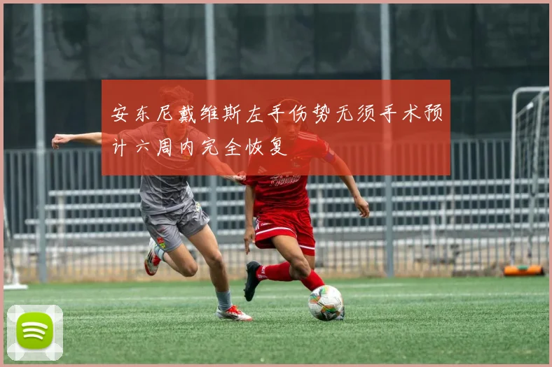 安东尼戴维斯左手伤势无须手术预计六周内完全恢复